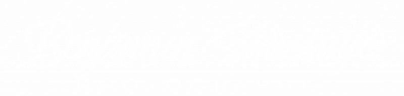 Saussaye-Photographie