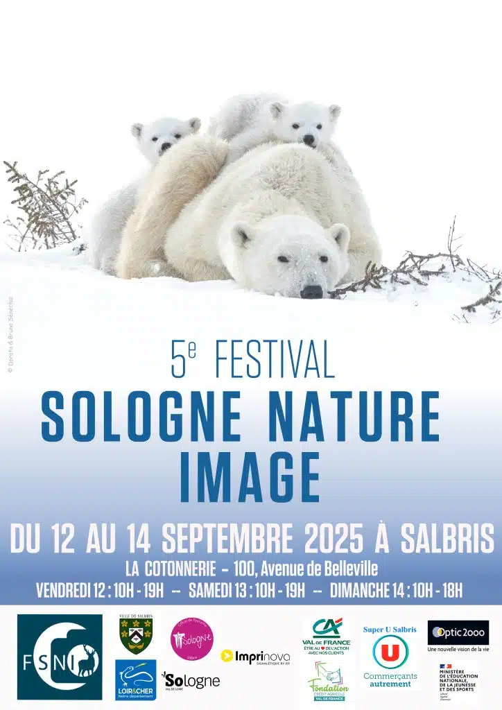 affiche festival salbris 2025