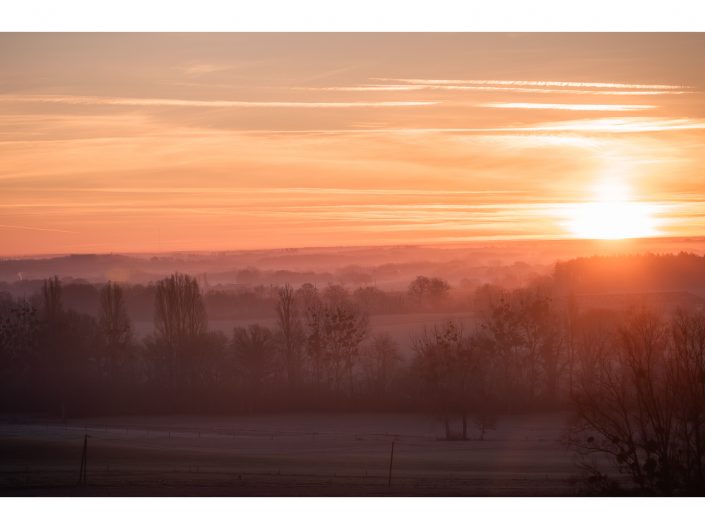 nikon d810 + sigma sport 150 600mm