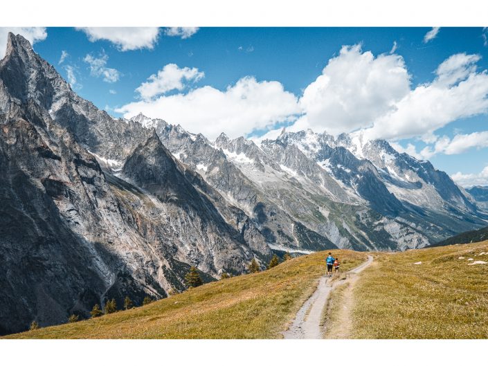 nikon d850 + nikon 500mm f4/g vr