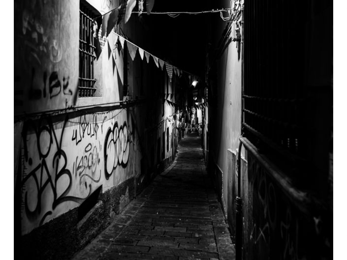 nikon d850 + nikon 500mm f4/g vr