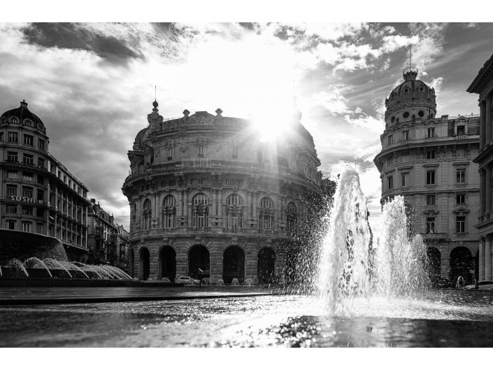 nikon d850 + nikon 500mm f4/g vr