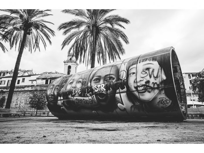 nikon d850 + nikon 500mm f4/g vr