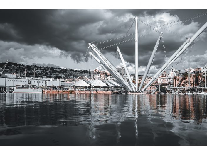 nikon d850 + nikon 500mm f4/g vr