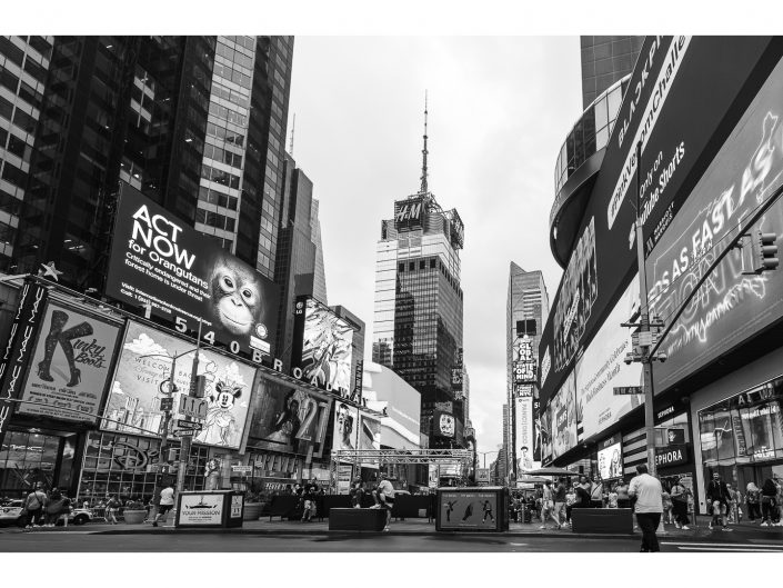 nikon d810 + sigma sport 150 600mm