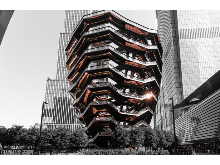 nikon d810 + sigma sport 150 600mm