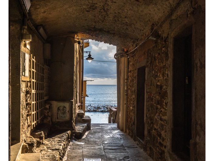 nikon d810 + sigma sport 150 600mm