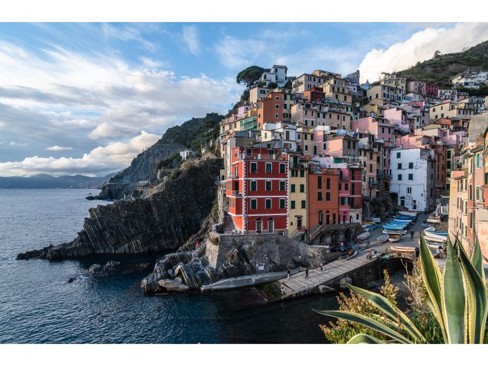 nikon d810 + sigma sport 150 600mm