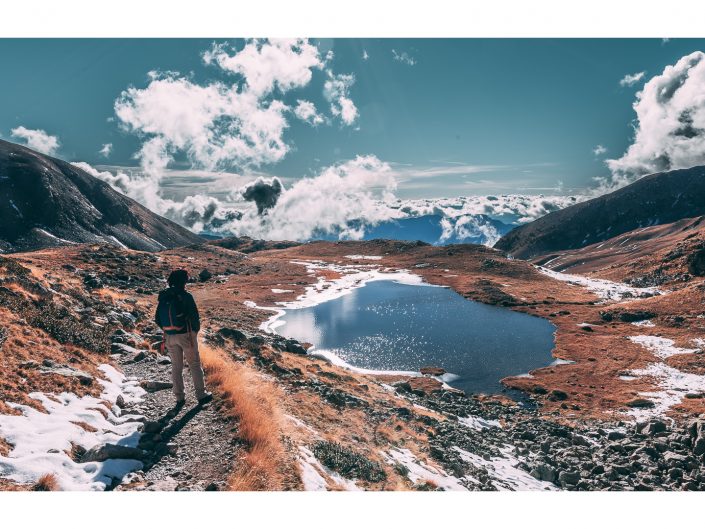 nikon d810 + sigma sport 150 600mm